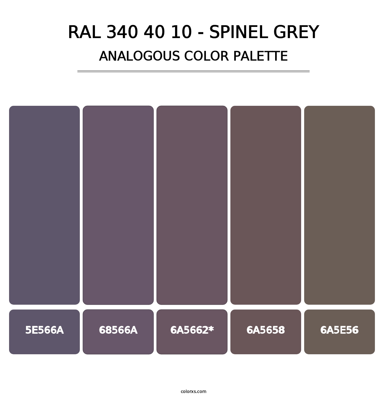 RAL 340 40 10 - Spinel Grey - Analogous Color Palette