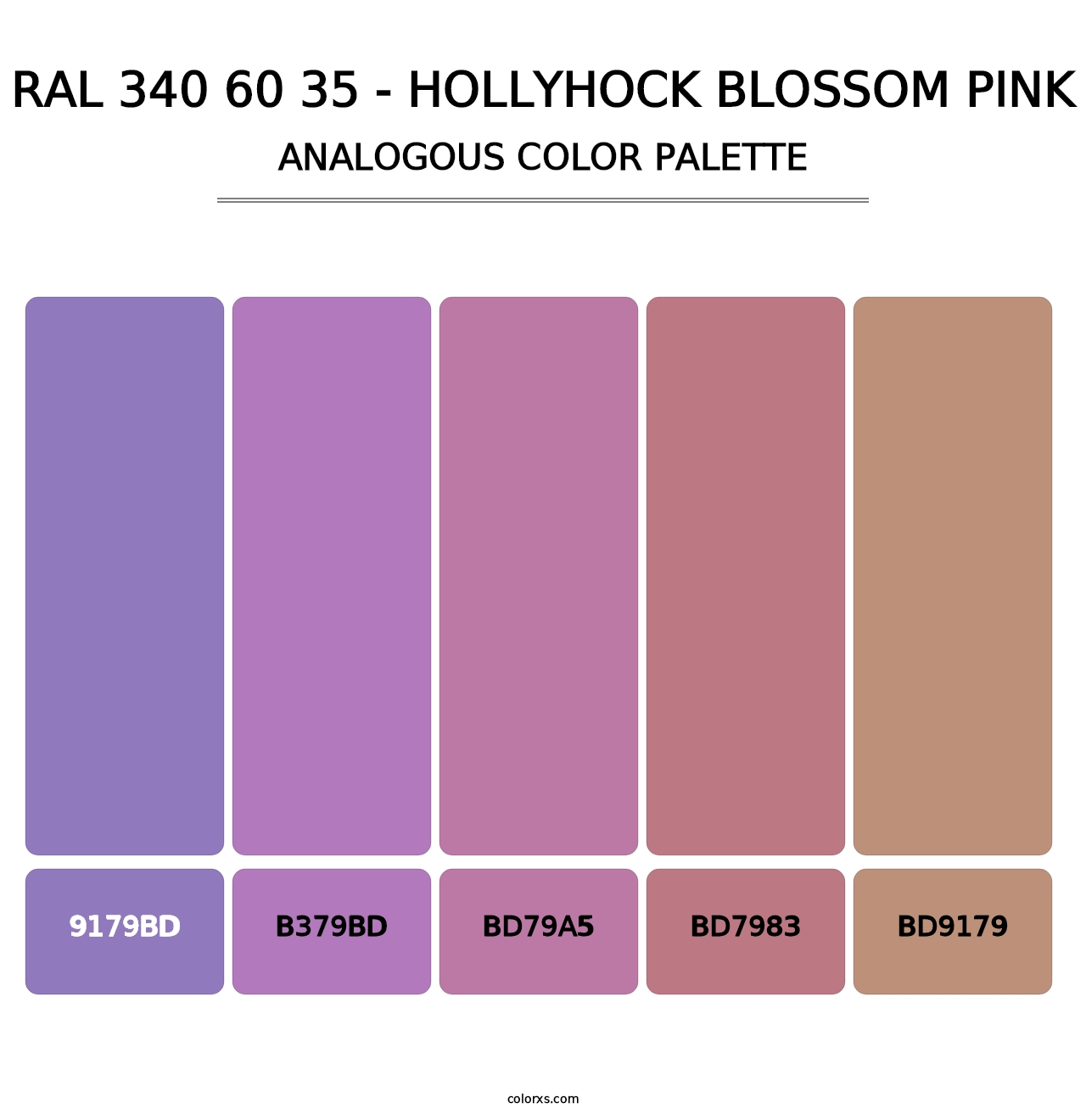 RAL 340 60 35 - Hollyhock Blossom Pink - Analogous Color Palette