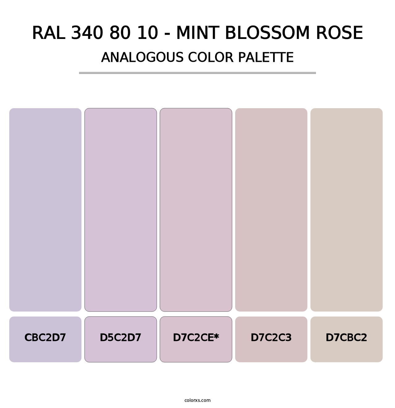 RAL 340 80 10 - Mint Blossom Rose - Analogous Color Palette