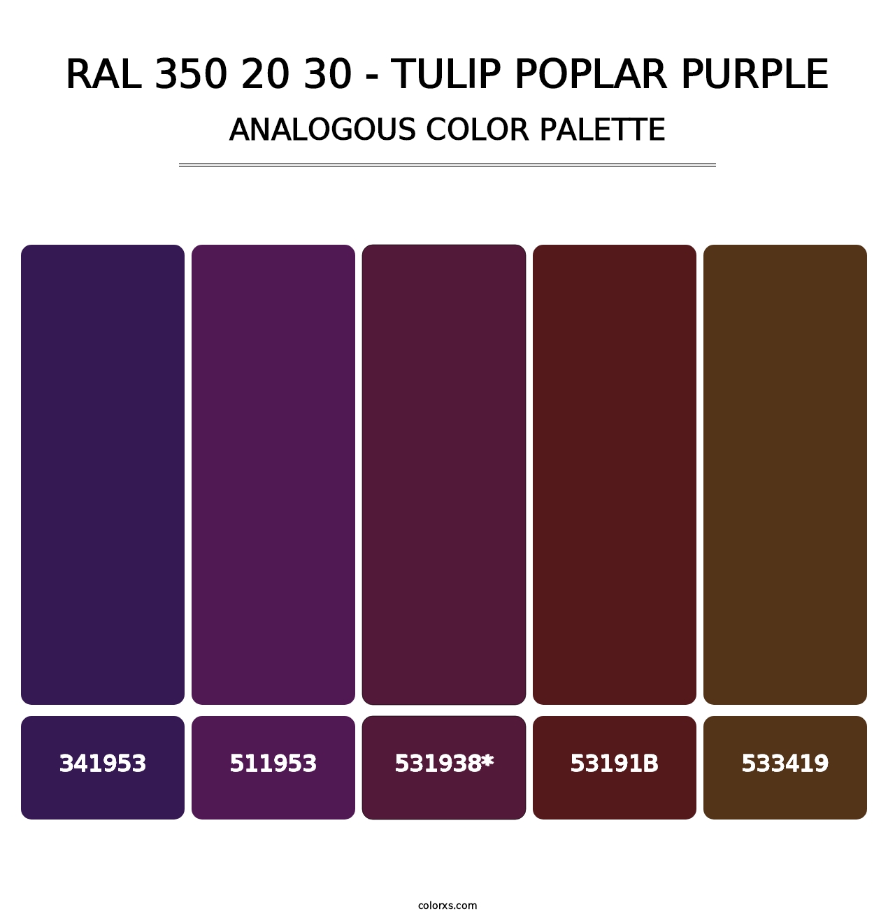 RAL 350 20 30 - Tulip Poplar Purple - Analogous Color Palette