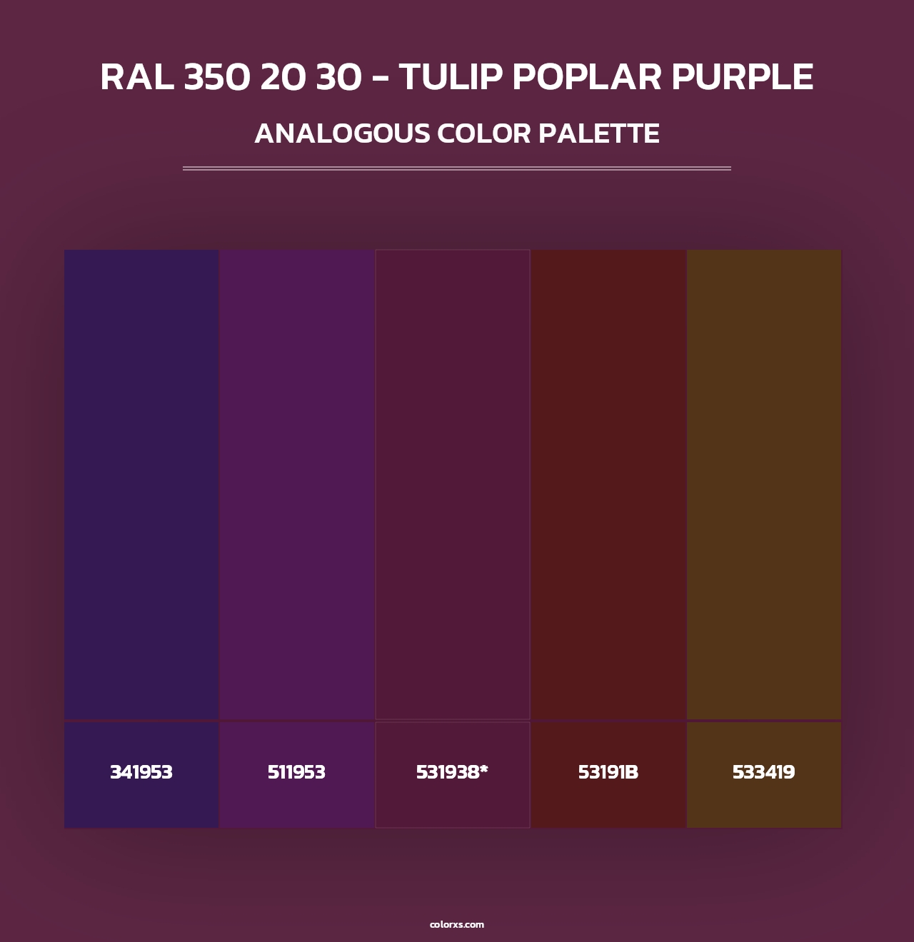RAL 350 20 30 - Tulip Poplar Purple - Analogous Color Palette
