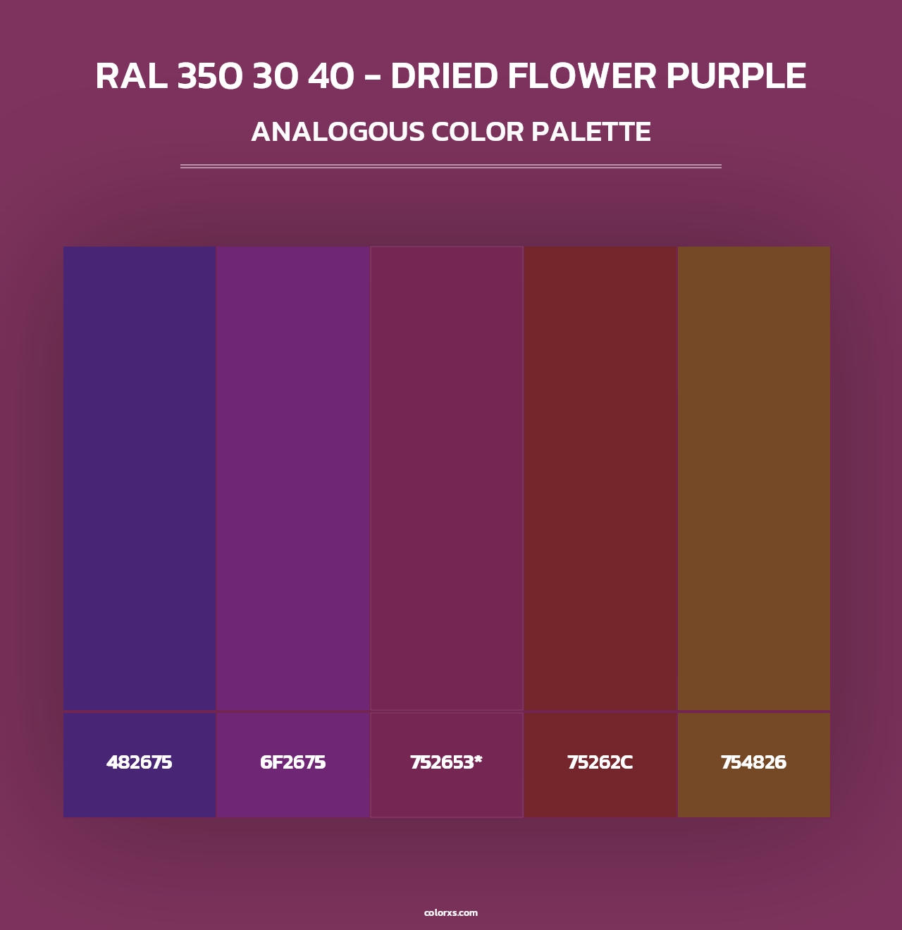 RAL 350 30 40 - Dried Flower Purple - Analogous Color Palette