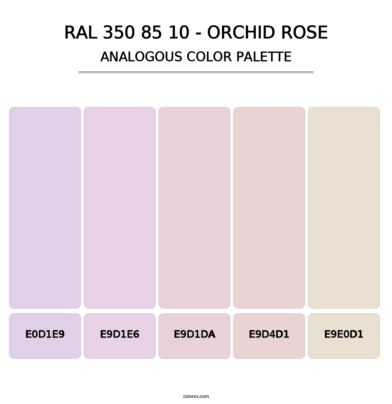 RAL 350 85 10 - Orchid Rose - Analogous Color Palette