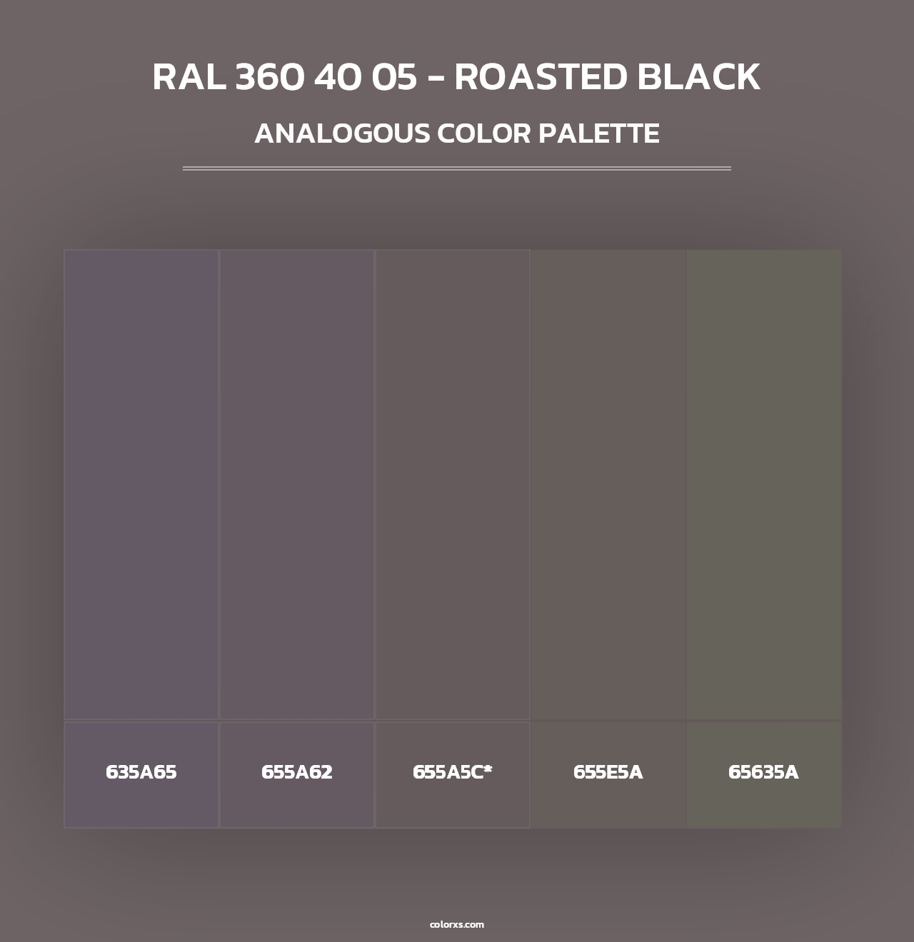 RAL 360 40 05 - Roasted Black - Analogous Color Palette