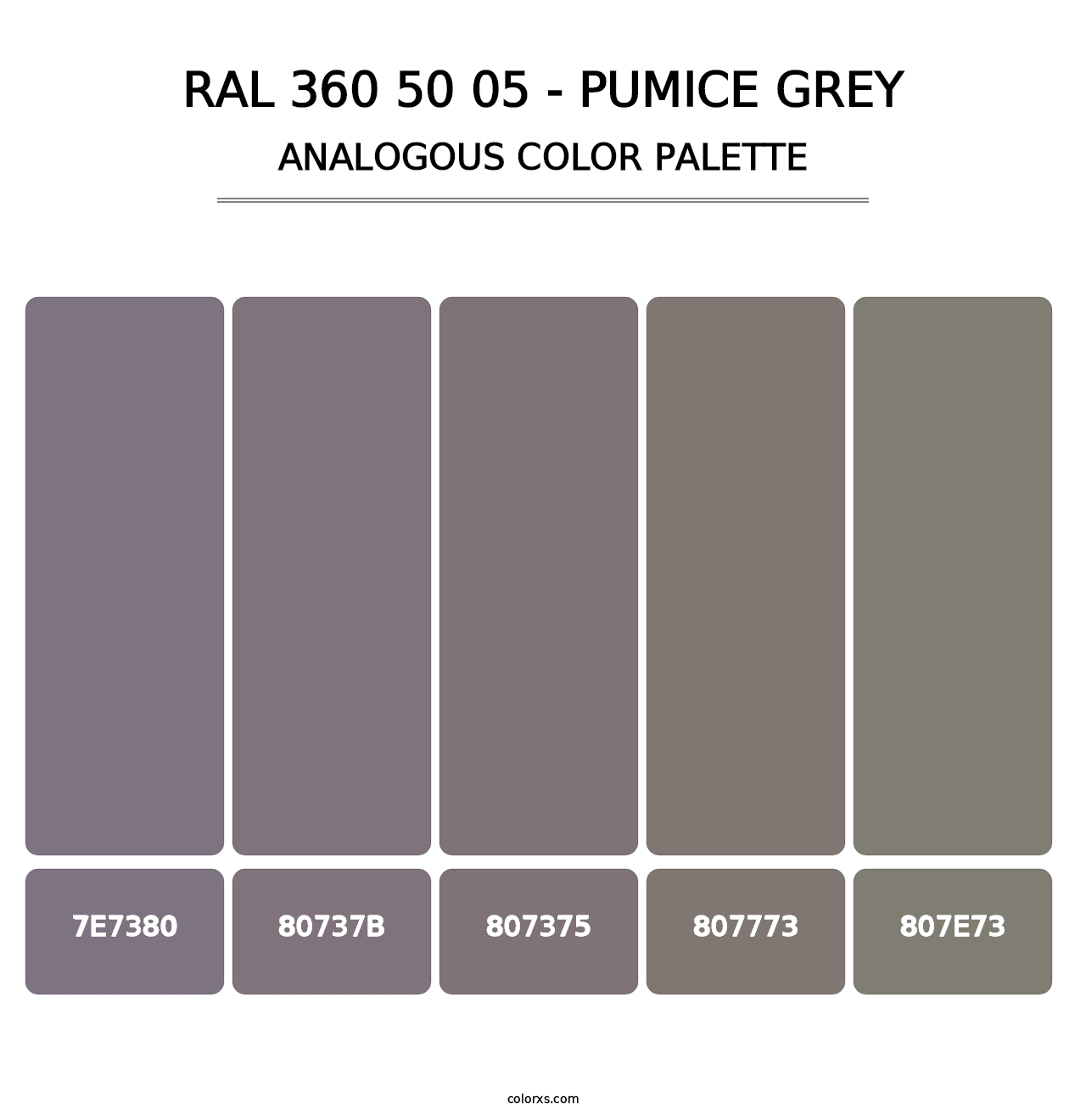 RAL 360 50 05 - Pumice Grey - Analogous Color Palette