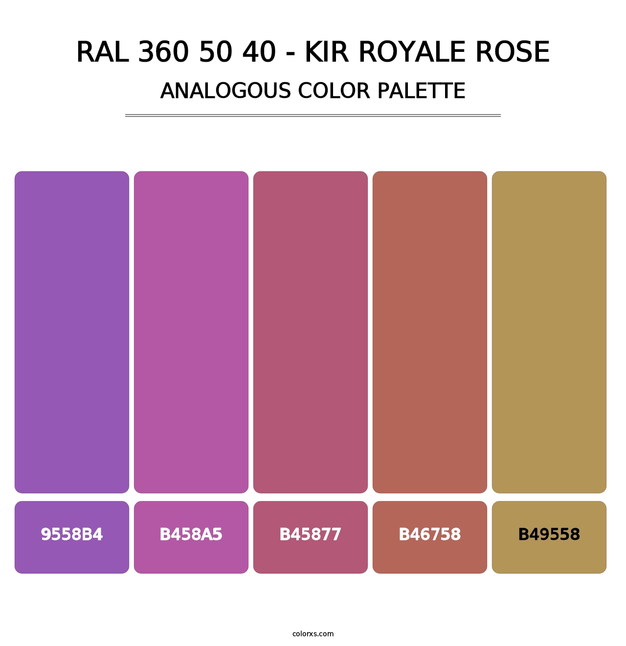 RAL 360 50 40 - Kir Royale Rose - Analogous Color Palette