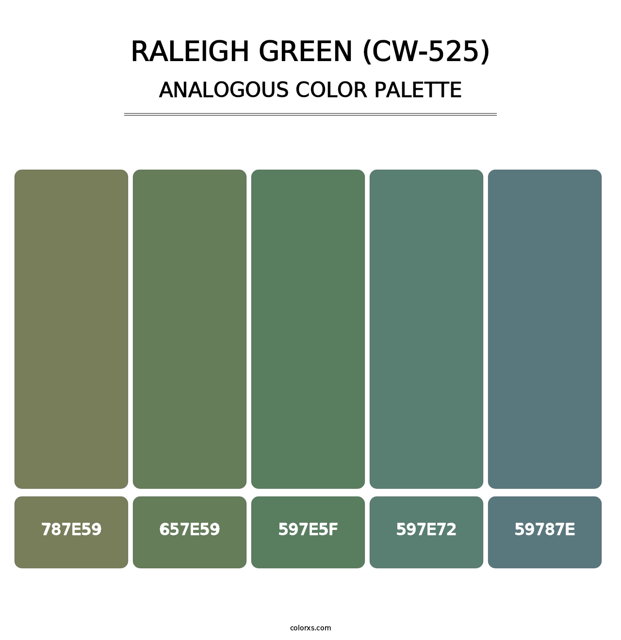 Raleigh Green (CW-525) - Analogous Color Palette