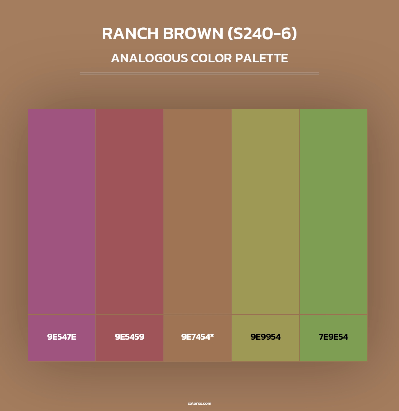 Ranch Brown (S240-6) - Analogous Color Palette