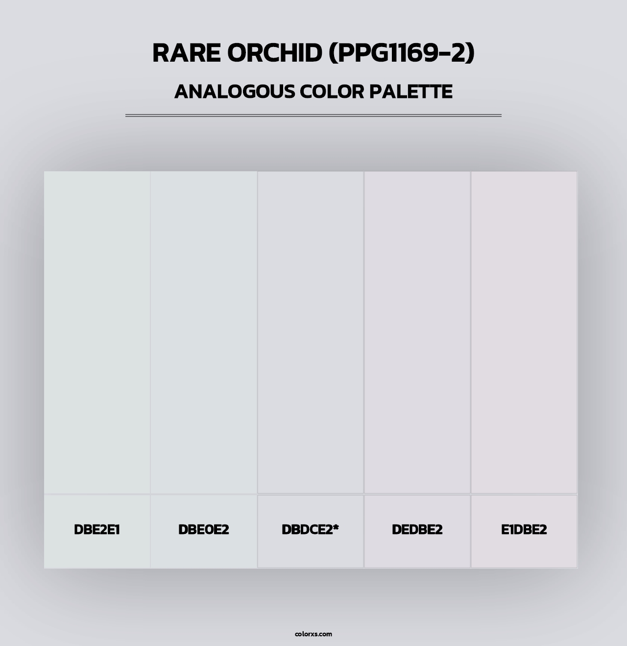 Rare Orchid (PPG1169-2) - Analogous Color Palette