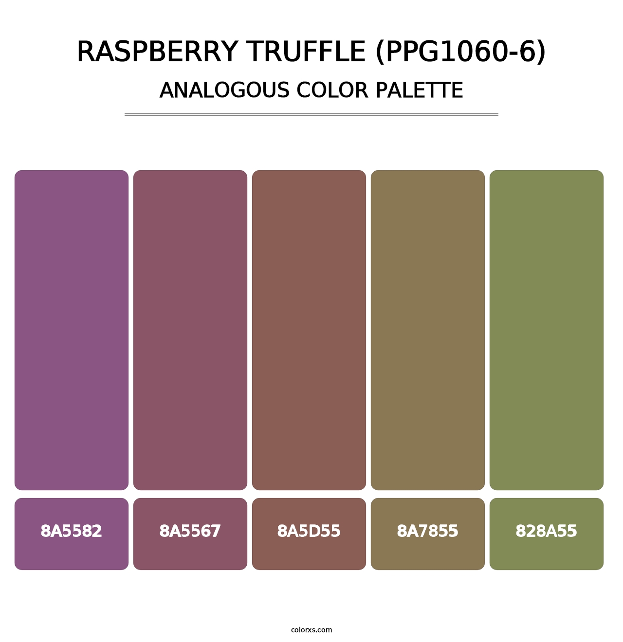Raspberry Truffle (PPG1060-6) - Analogous Color Palette