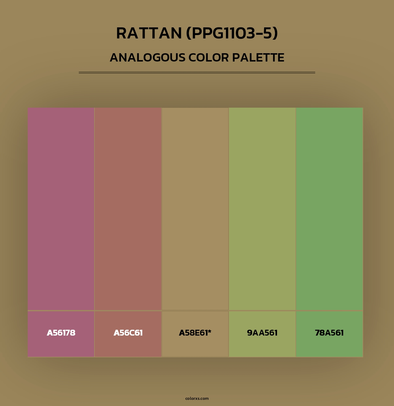 Rattan (PPG1103-5) - Analogous Color Palette