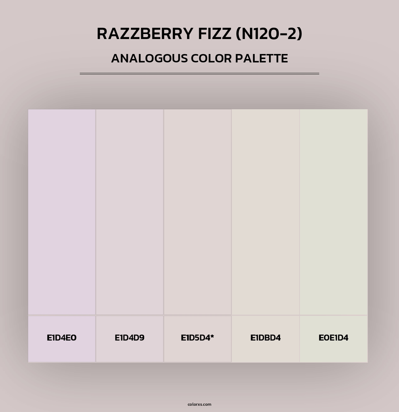 Razzberry Fizz (N120-2) - Analogous Color Palette