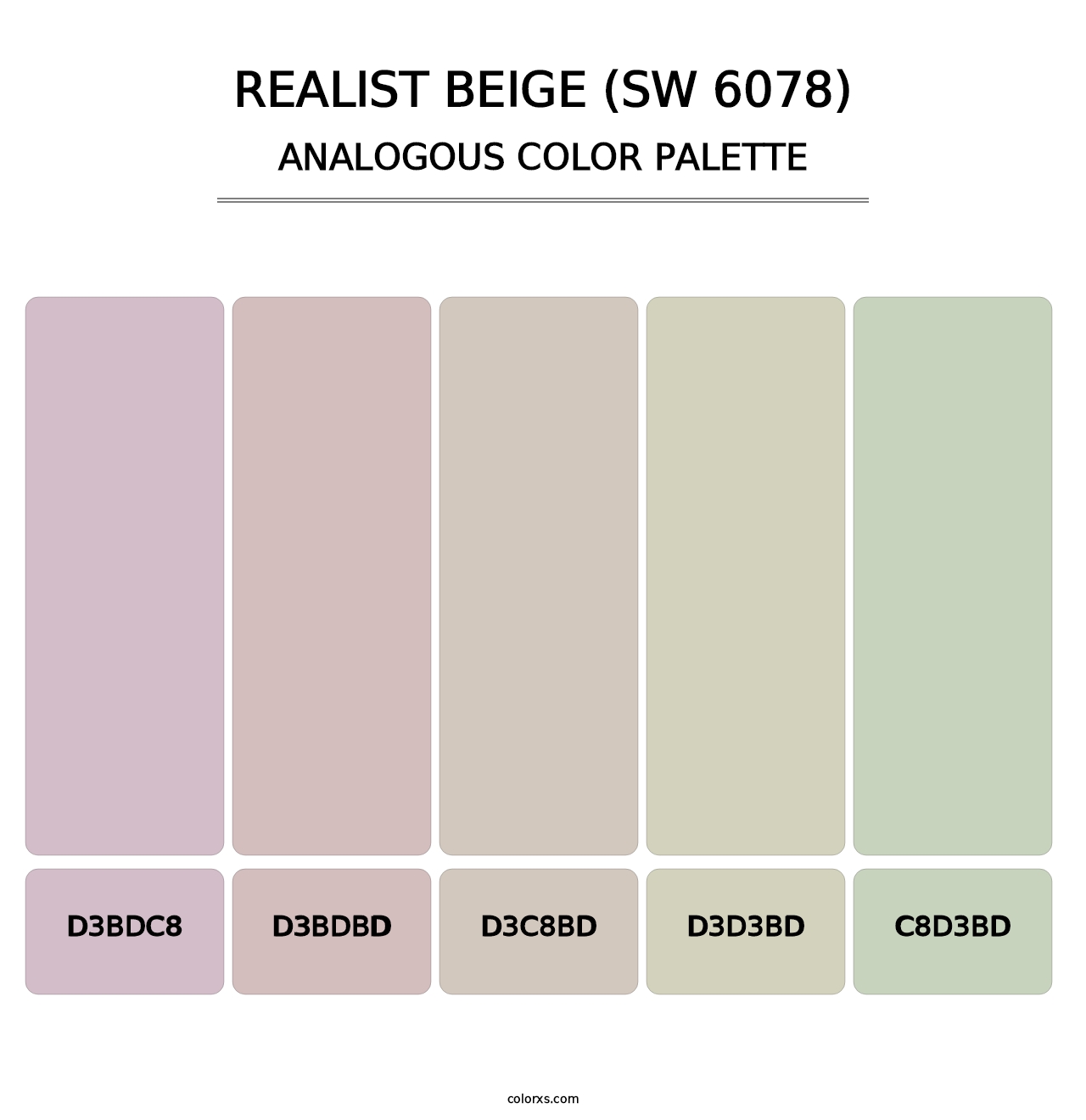 Realist Beige (SW 6078) - Analogous Color Palette