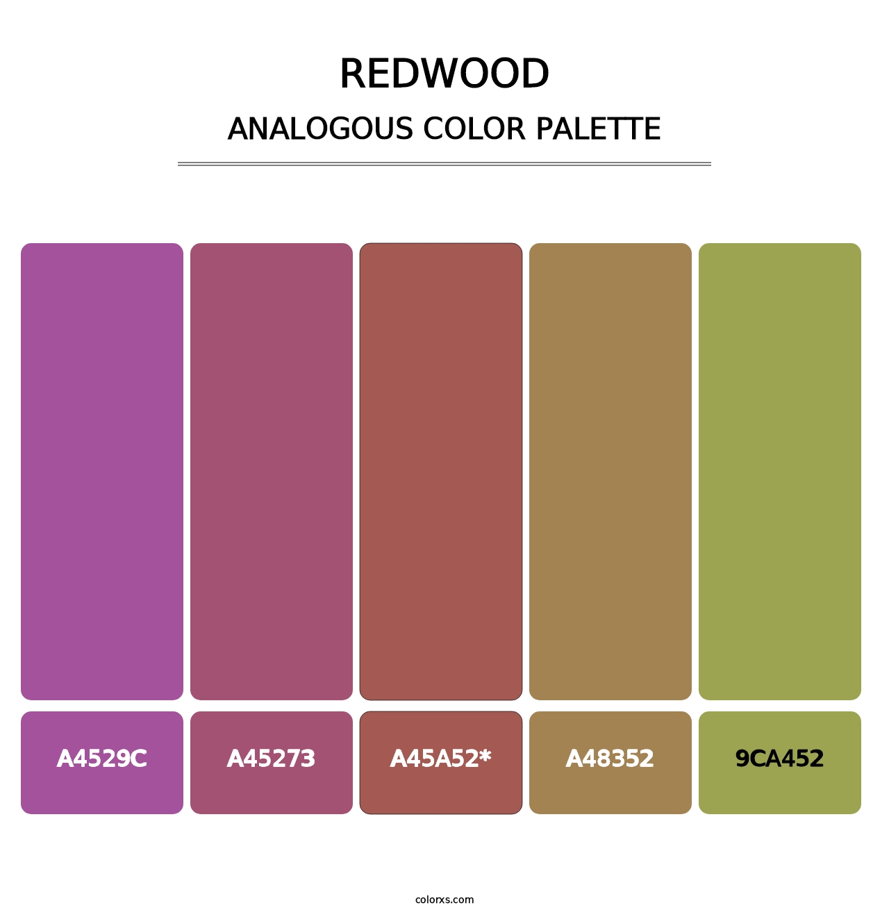 Redwood - Analogous Color Palette