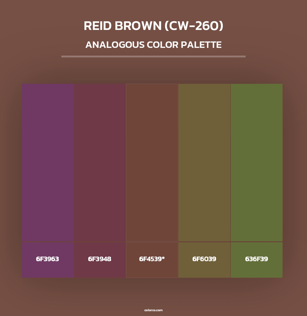 Reid Brown (CW-260) - Analogous Color Palette