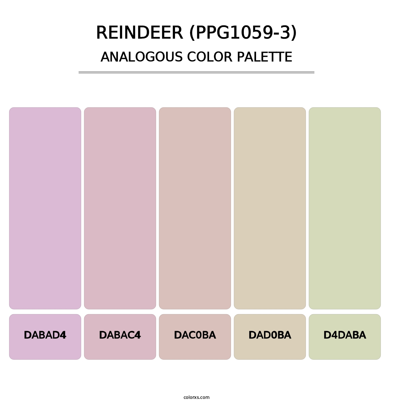 Reindeer (PPG1059-3) - Analogous Color Palette