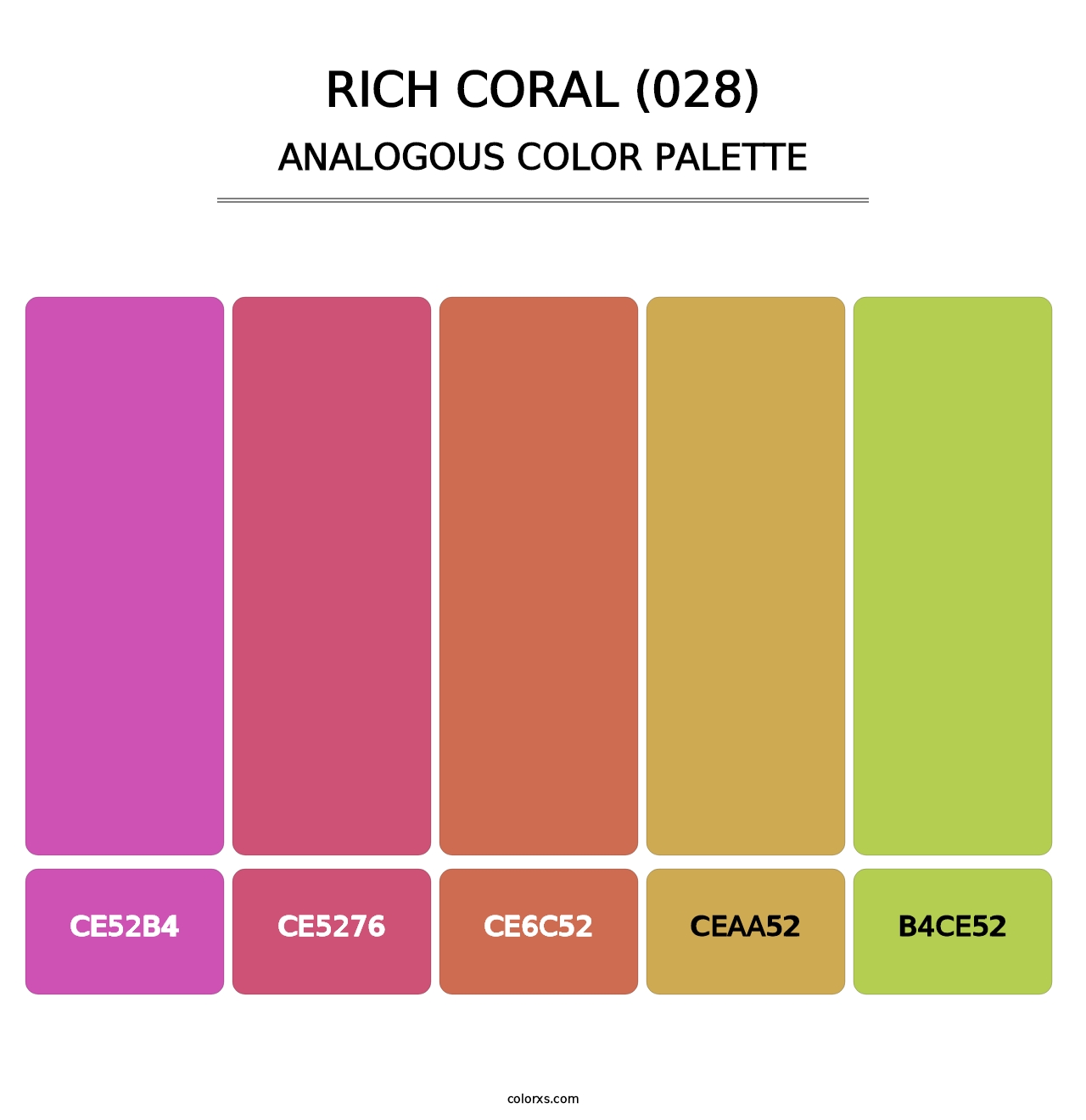 Rich Coral (028) - Analogous Color Palette
