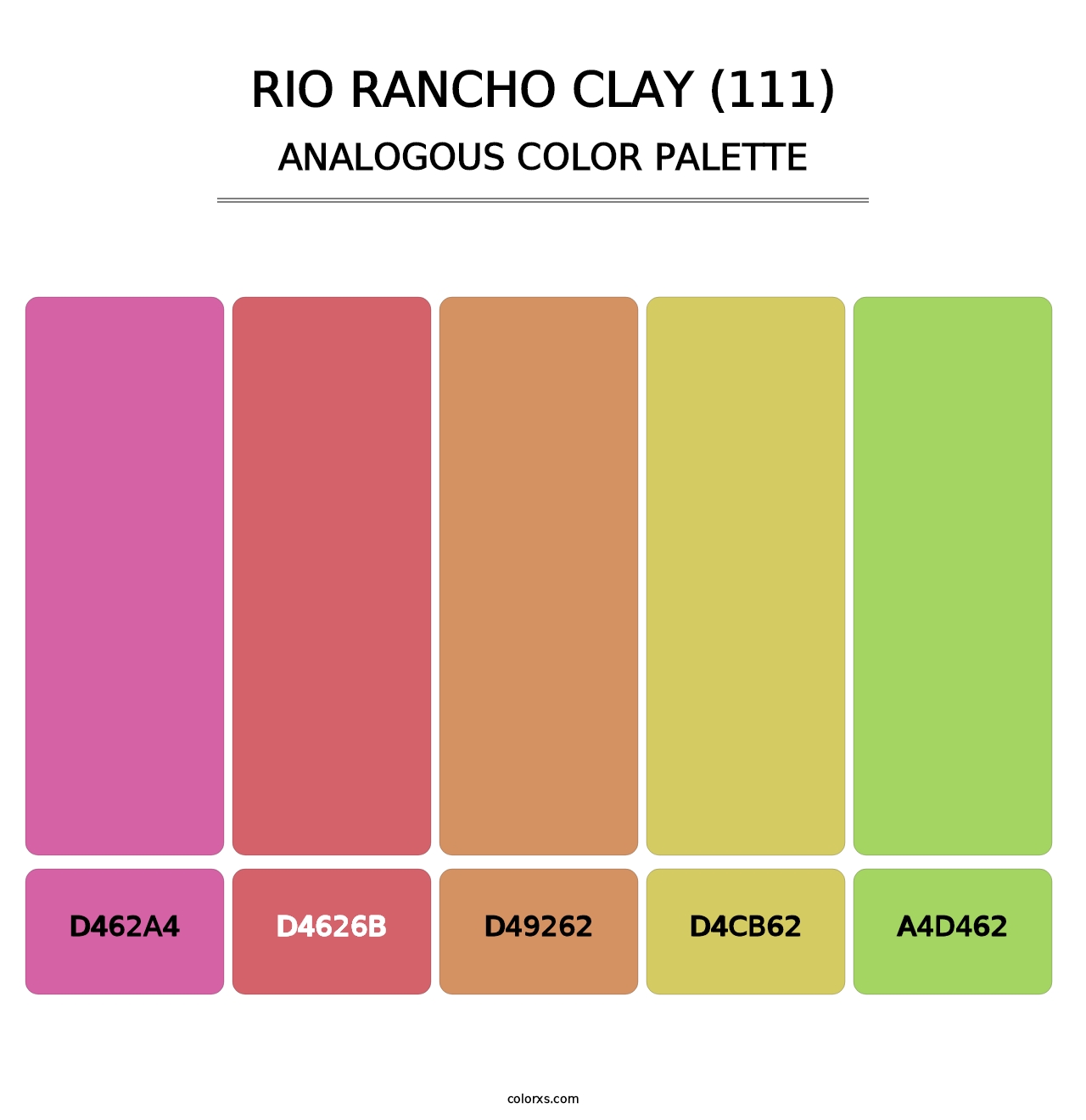 Rio Rancho Clay (111) - Analogous Color Palette