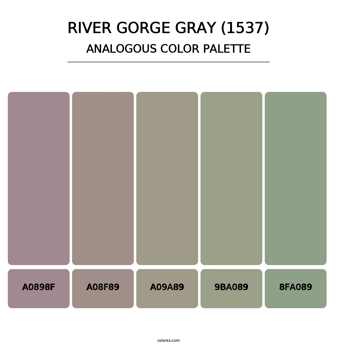 River Gorge Gray (1537) - Analogous Color Palette