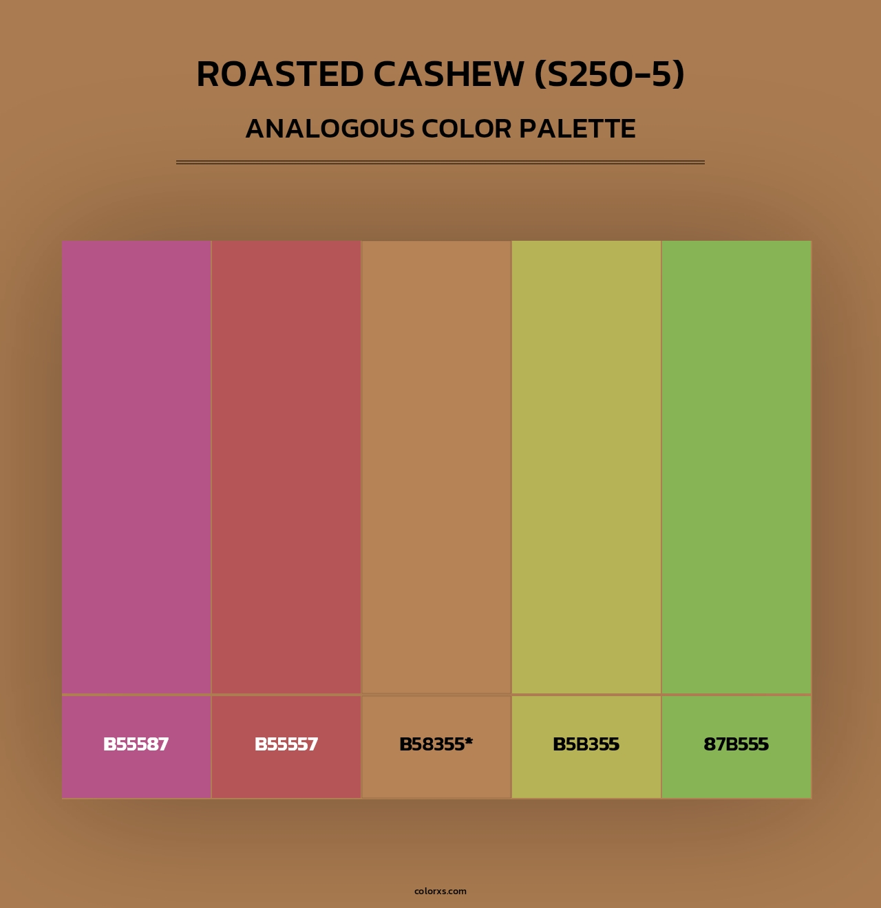 Roasted Cashew (S250-5) - Analogous Color Palette