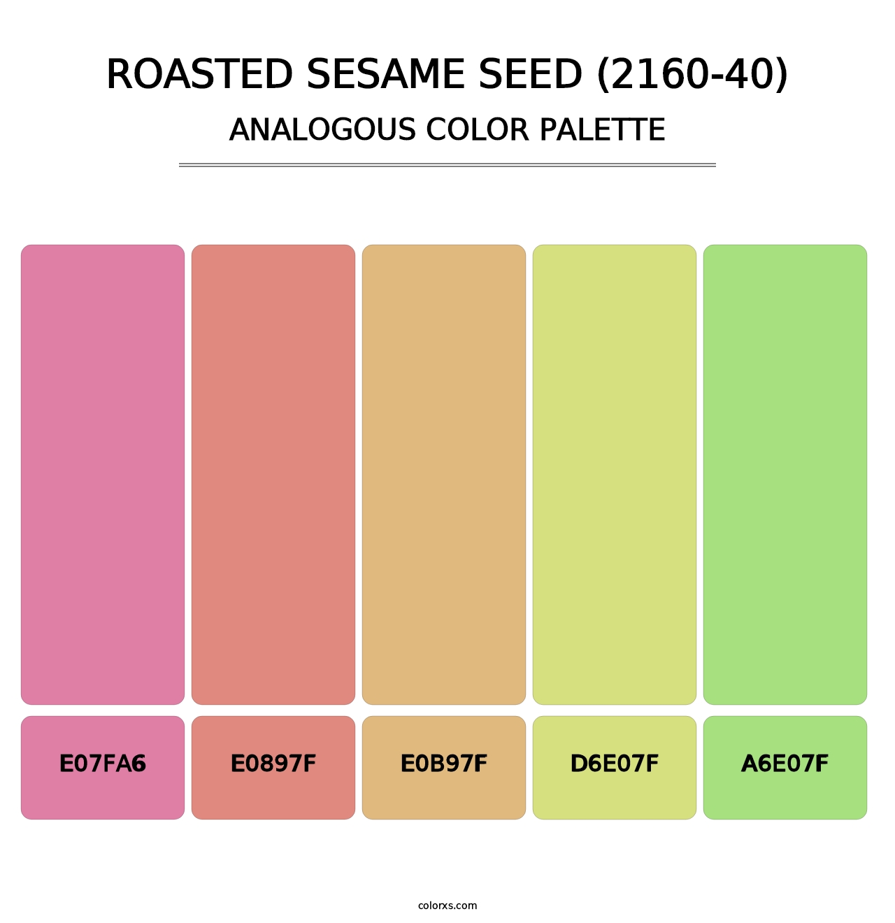 Roasted Sesame Seed (2160-40) - Analogous Color Palette