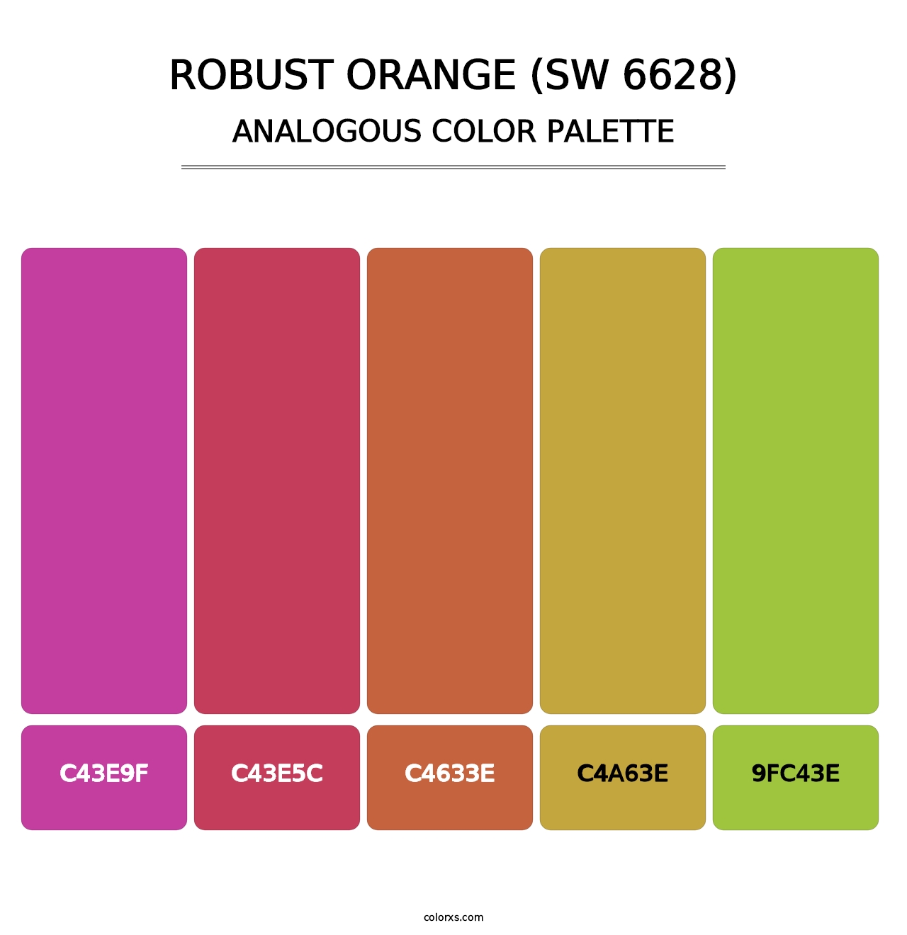 Robust Orange (SW 6628) - Analogous Color Palette