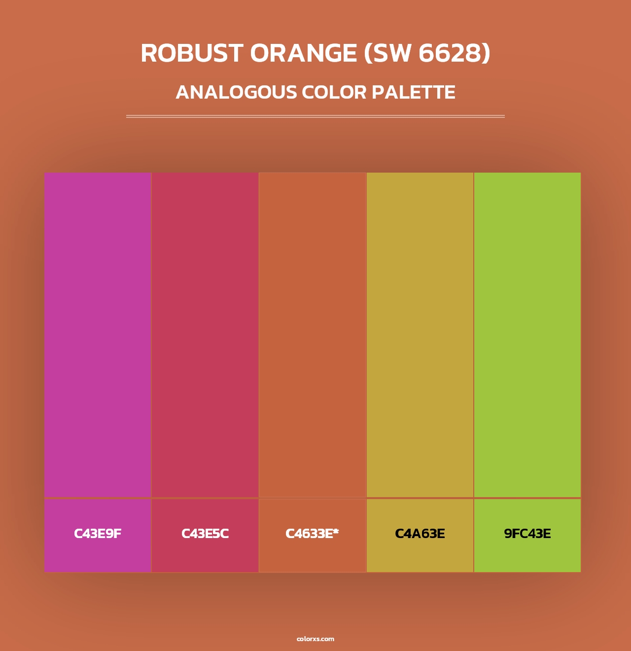 Robust Orange (SW 6628) - Analogous Color Palette