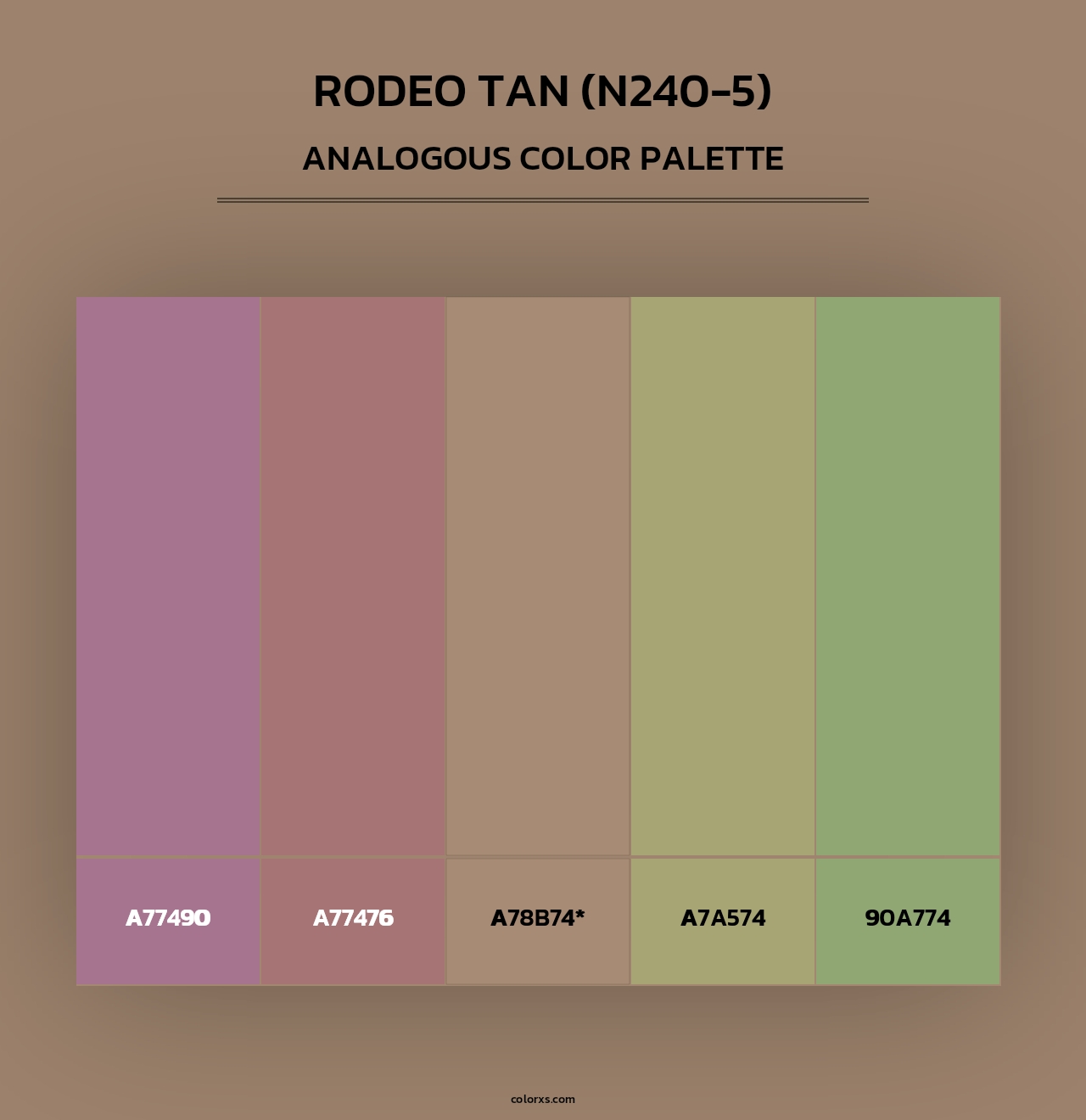 Rodeo Tan (N240-5) - Analogous Color Palette