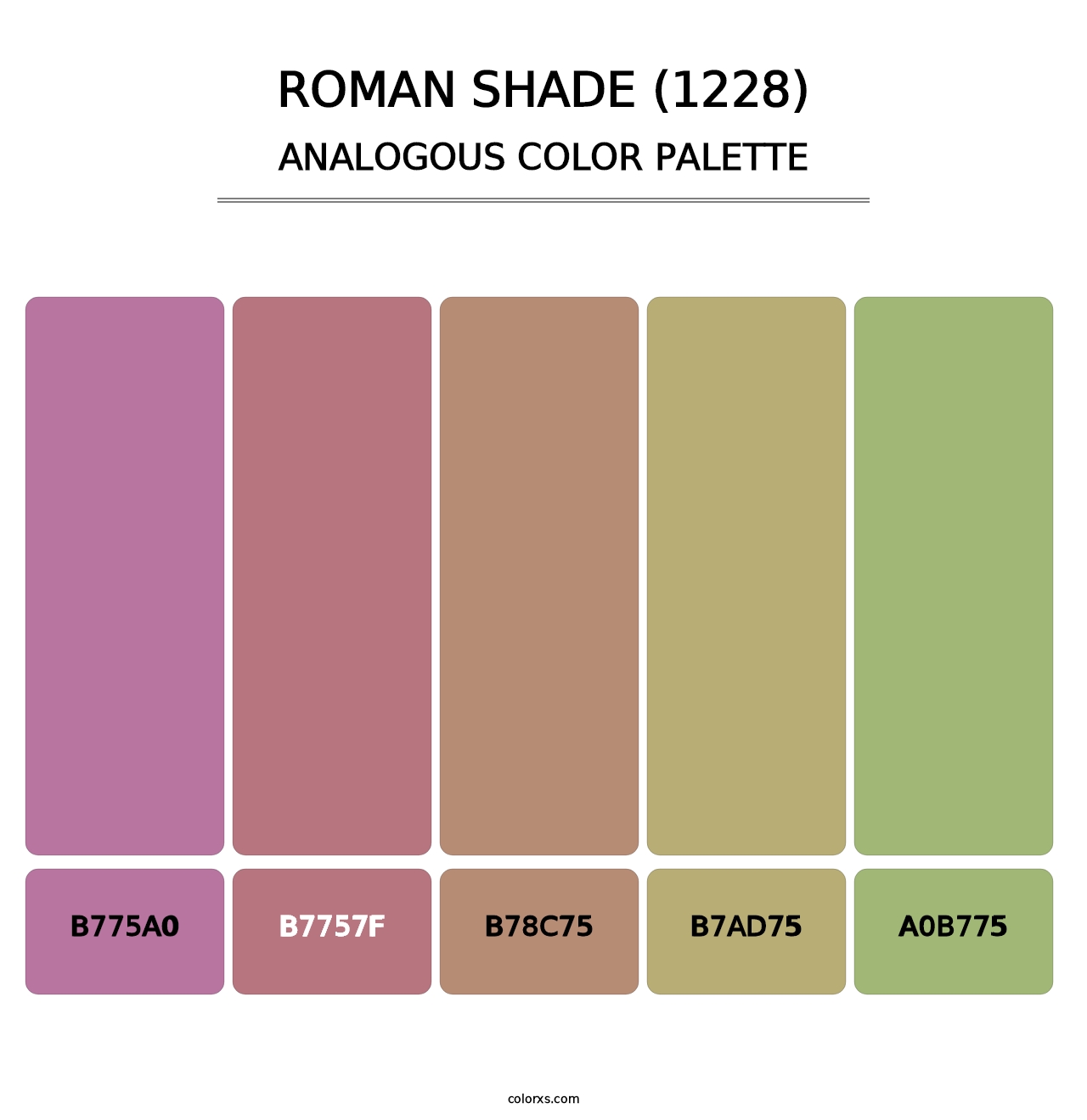 Roman Shade (1228) - Analogous Color Palette