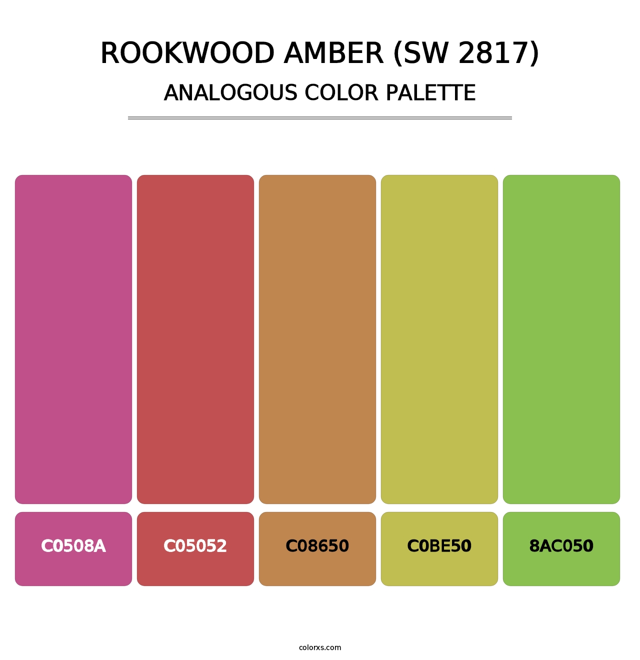 Rookwood Amber (SW 2817) - Analogous Color Palette