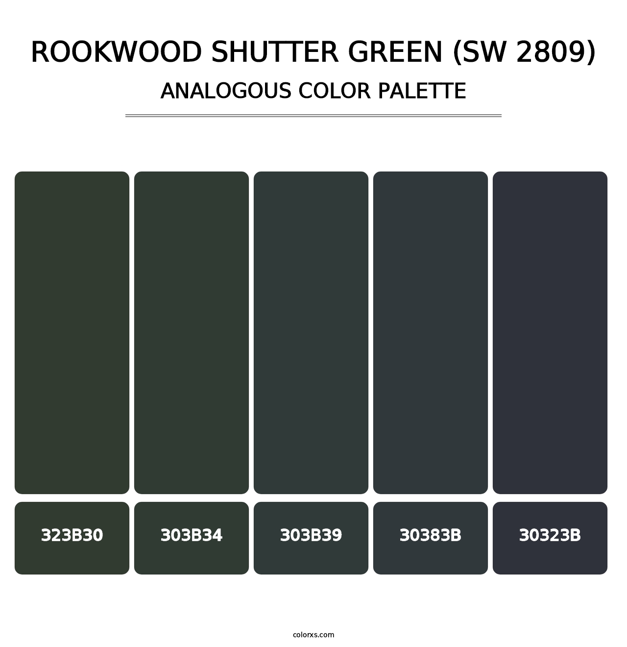 Rookwood Shutter Green (SW 2809) - Analogous Color Palette