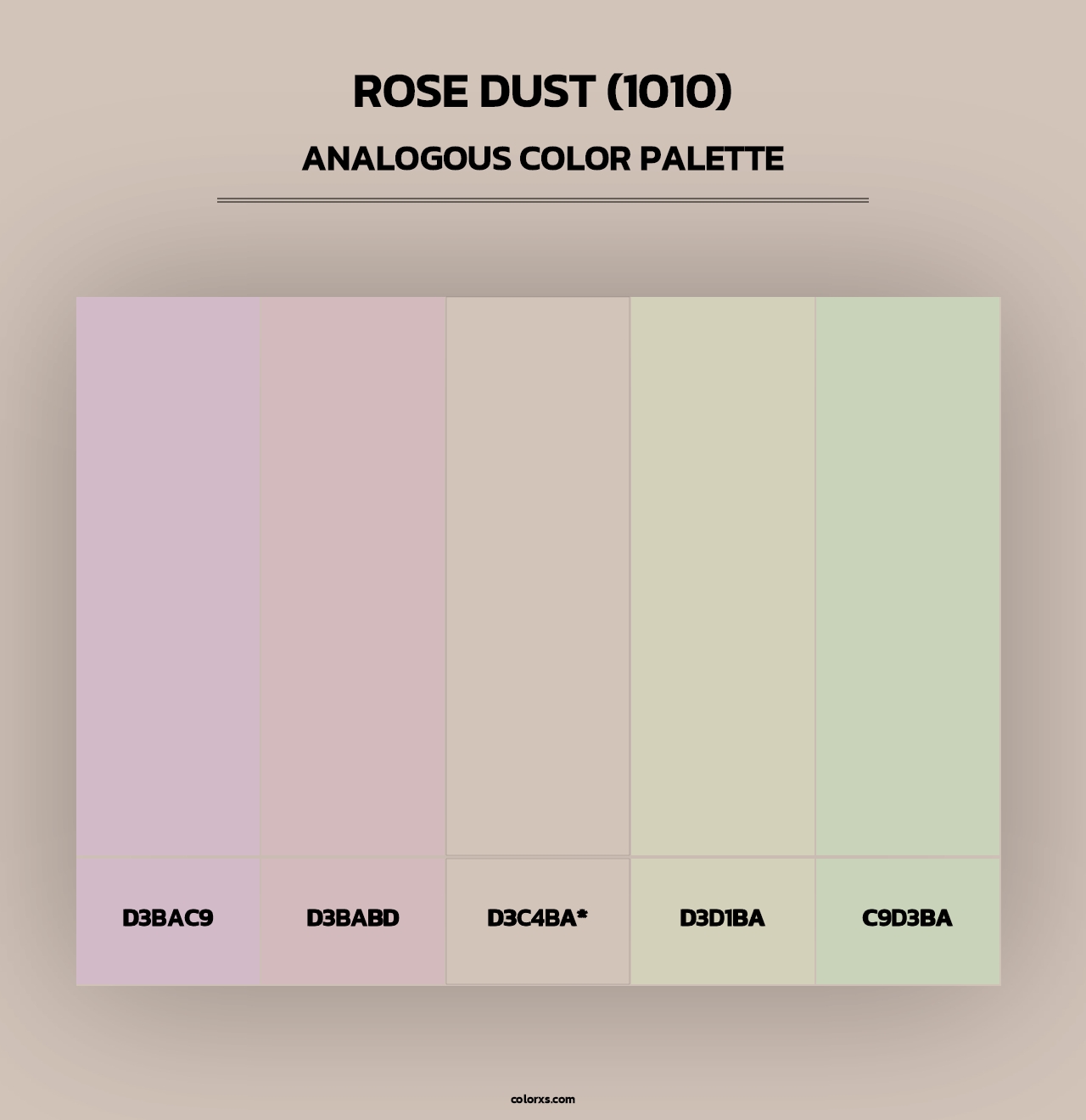 Rose Dust (1010) - Analogous Color Palette