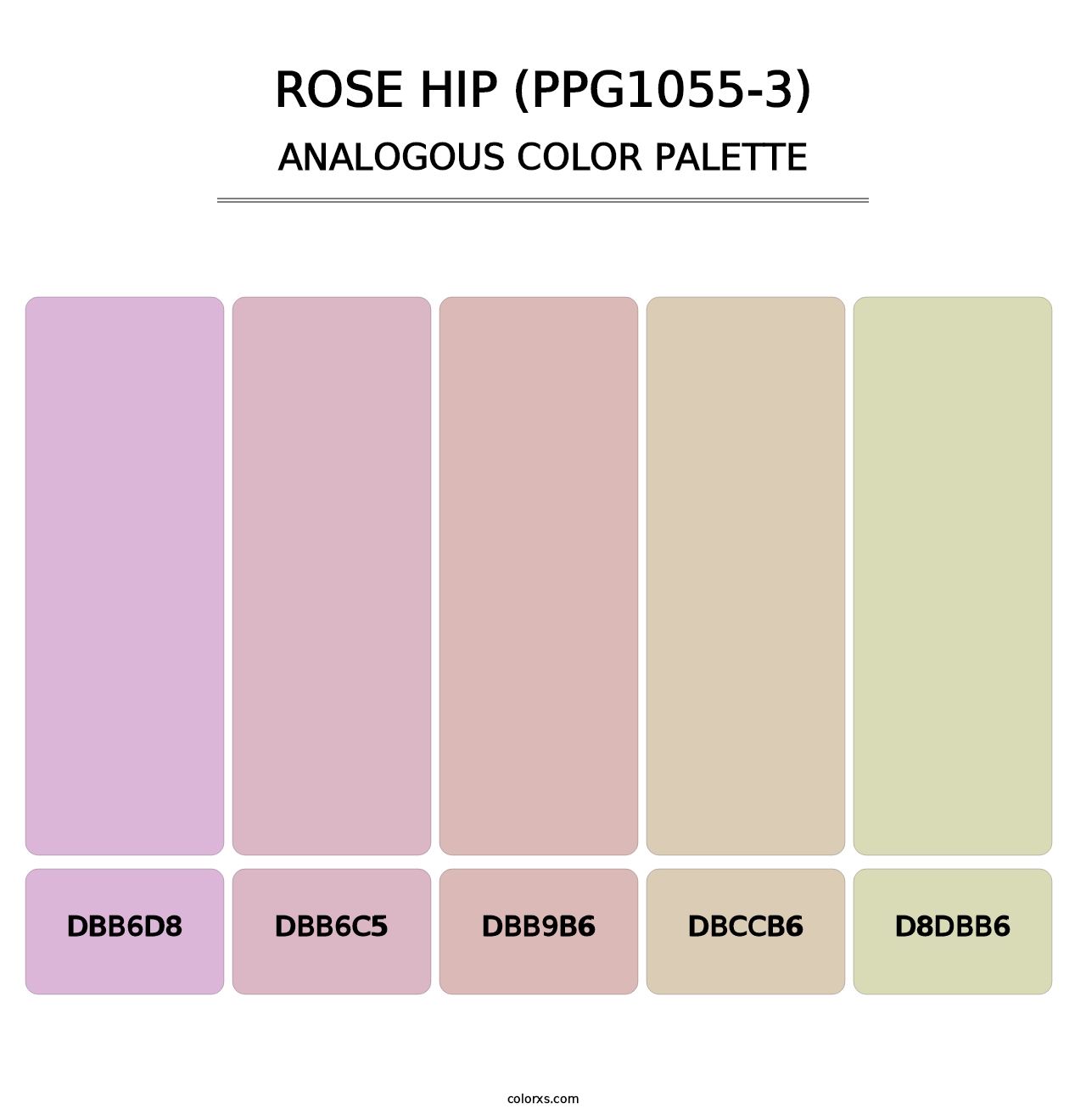 Rose Hip (PPG1055-3) - Analogous Color Palette