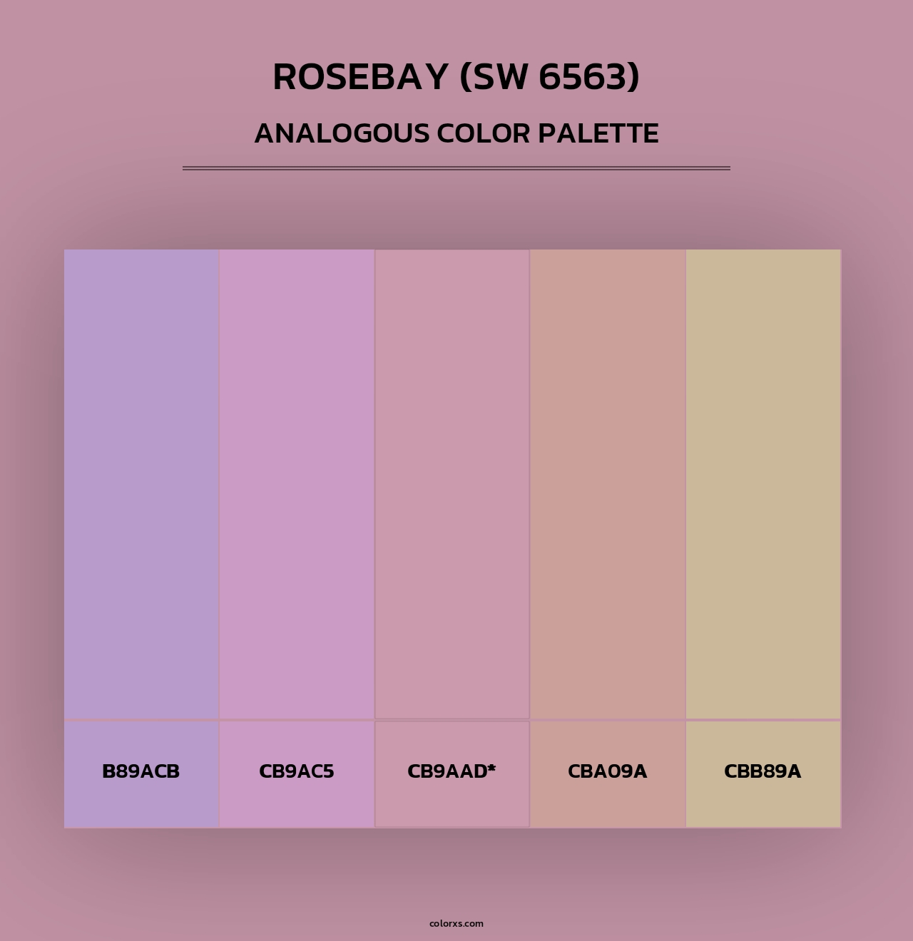 Rosebay (SW 6563) - Analogous Color Palette