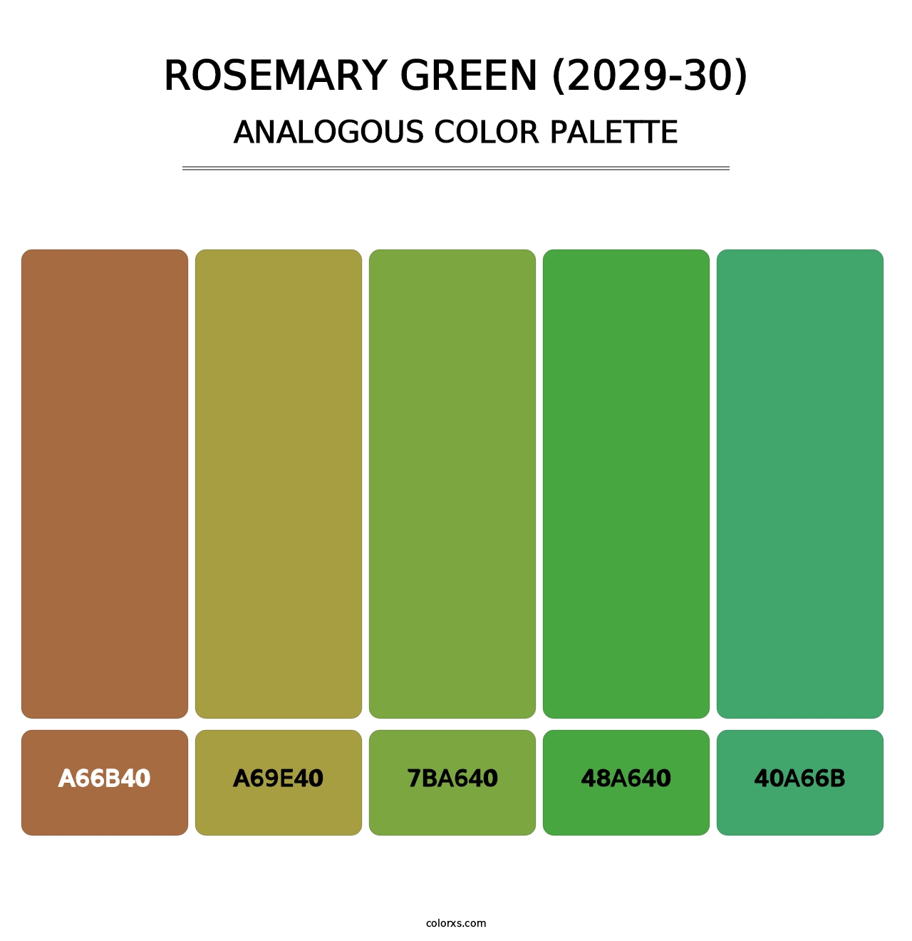 Rosemary Green (2029-30) - Analogous Color Palette
