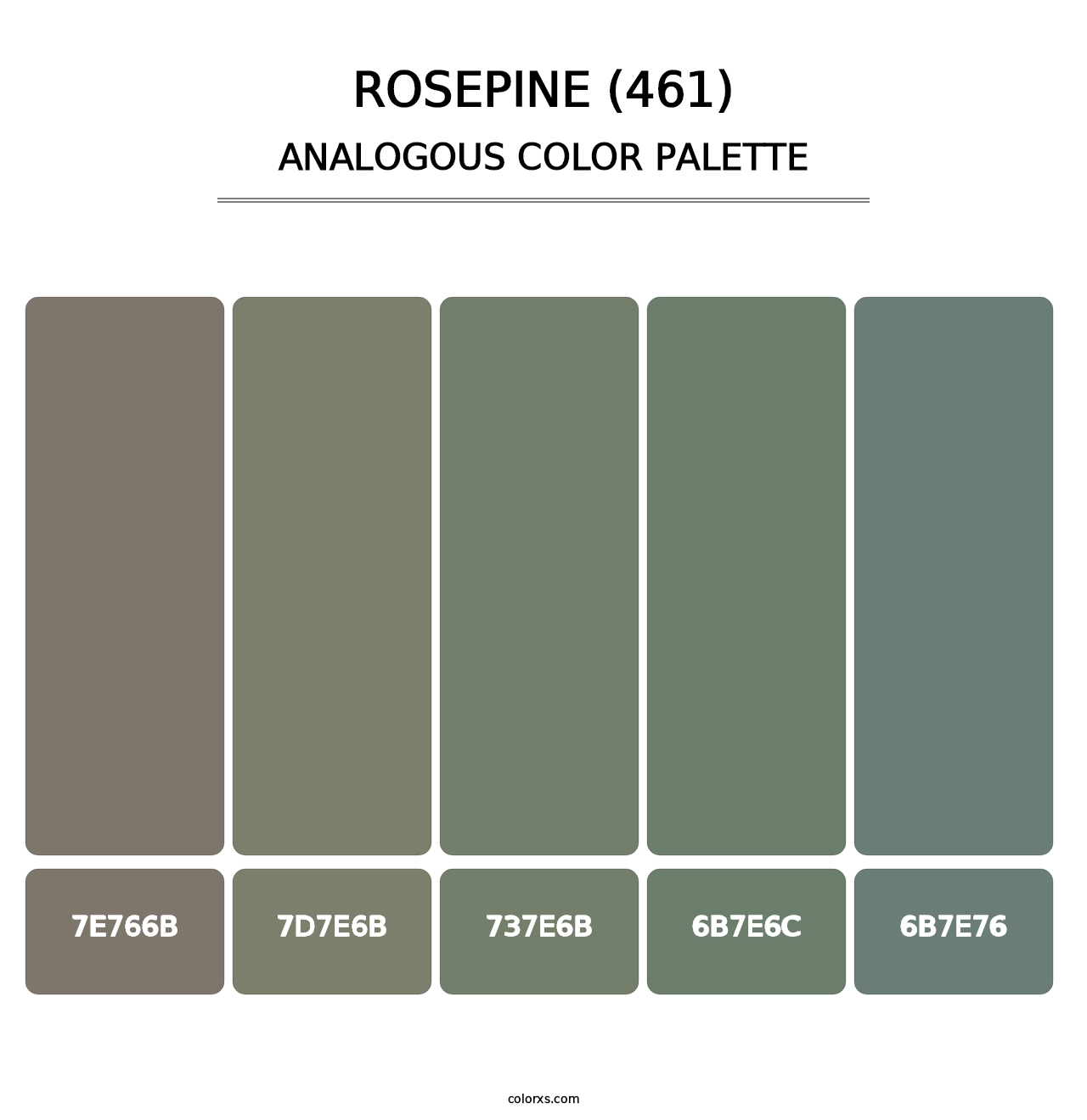 Rosepine (461) - Analogous Color Palette