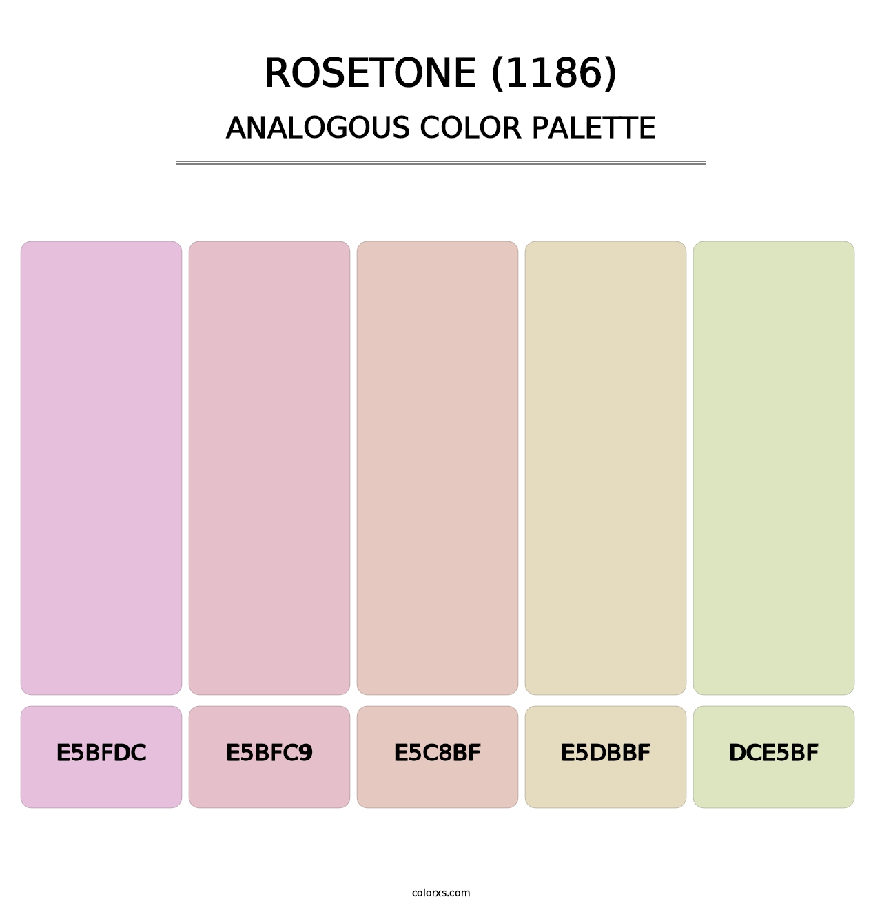 Rosetone (1186) - Analogous Color Palette