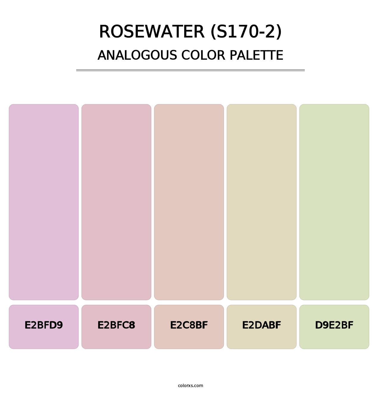 Rosewater (S170-2) - Analogous Color Palette