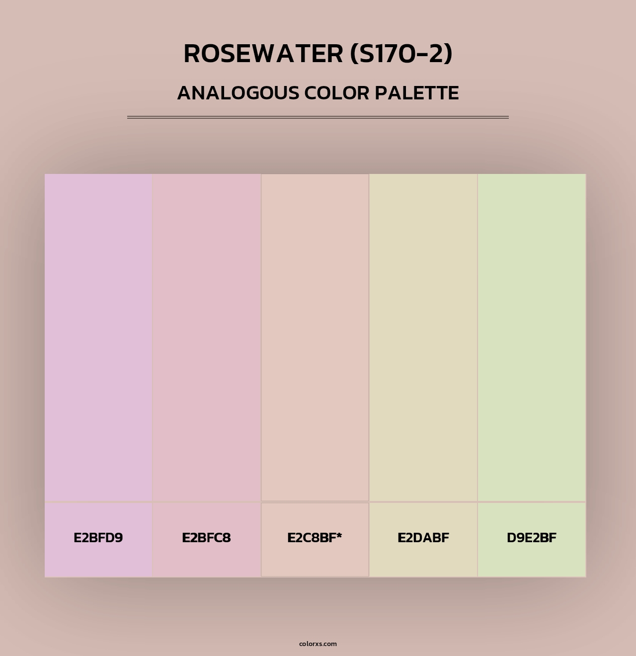 Rosewater (S170-2) - Analogous Color Palette
