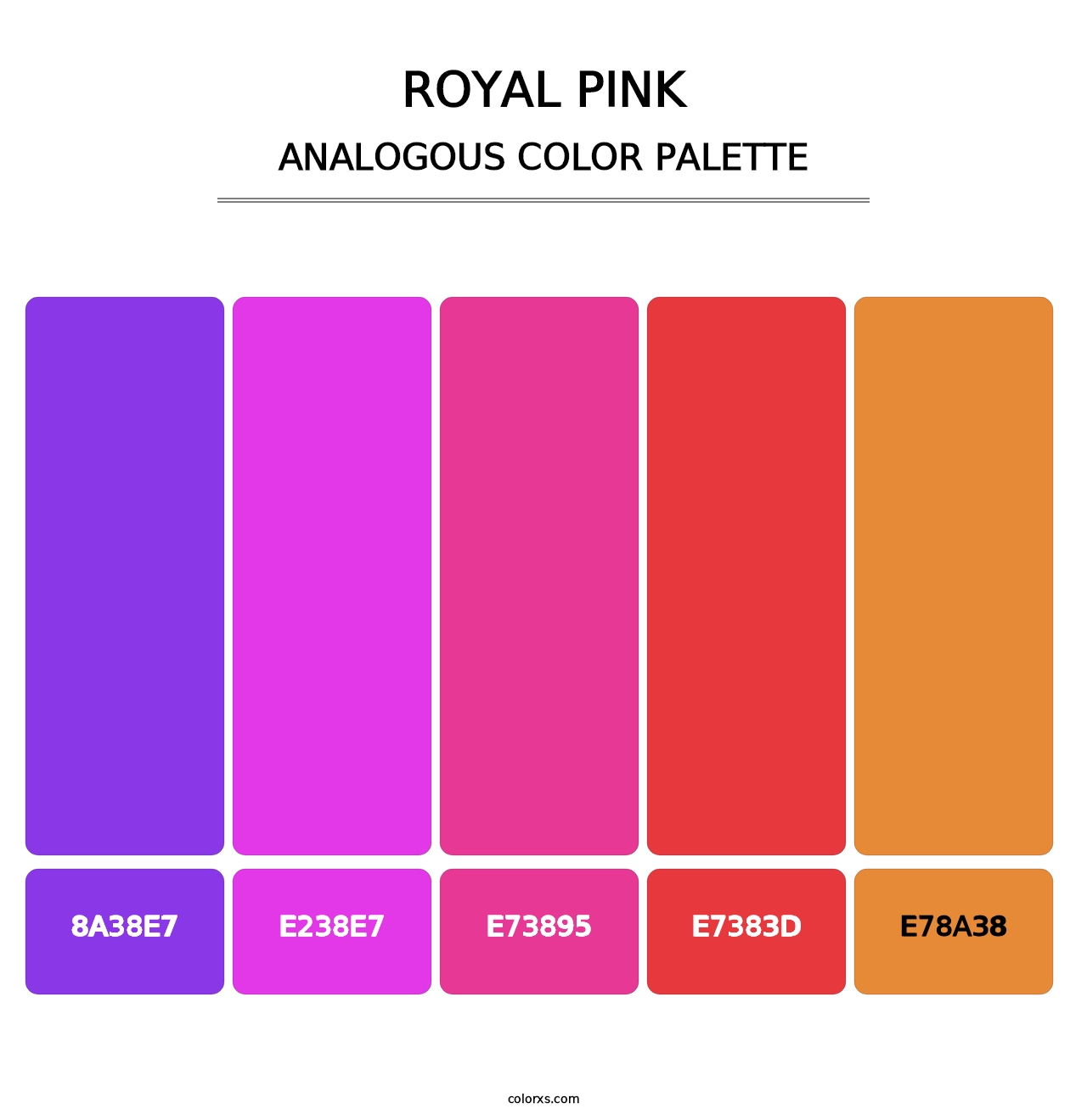 Royal Pink - Analogous Color Palette