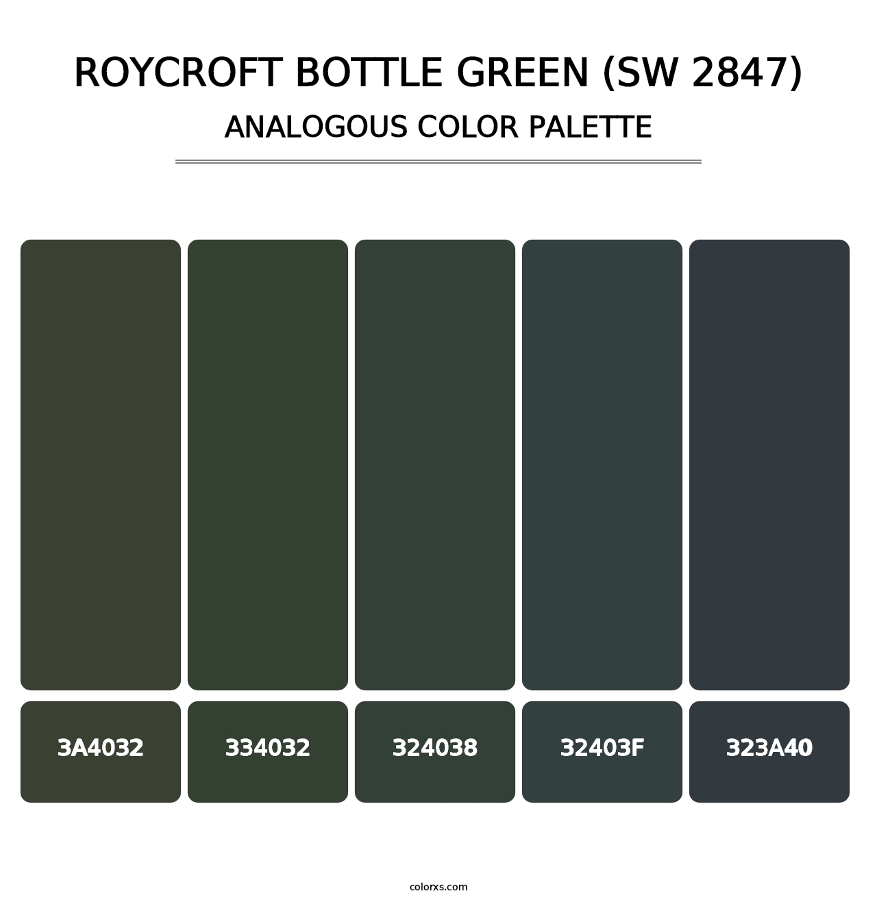 Roycroft Bottle Green (SW 2847) - Analogous Color Palette