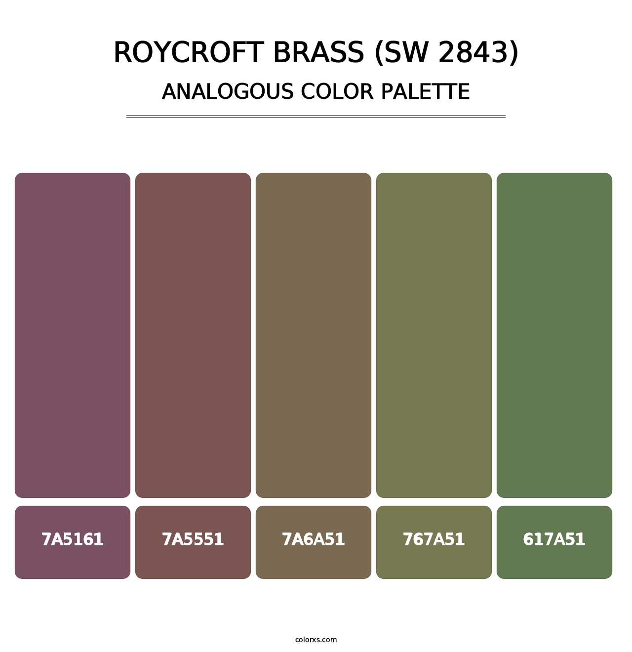 Roycroft Brass (SW 2843) - Analogous Color Palette