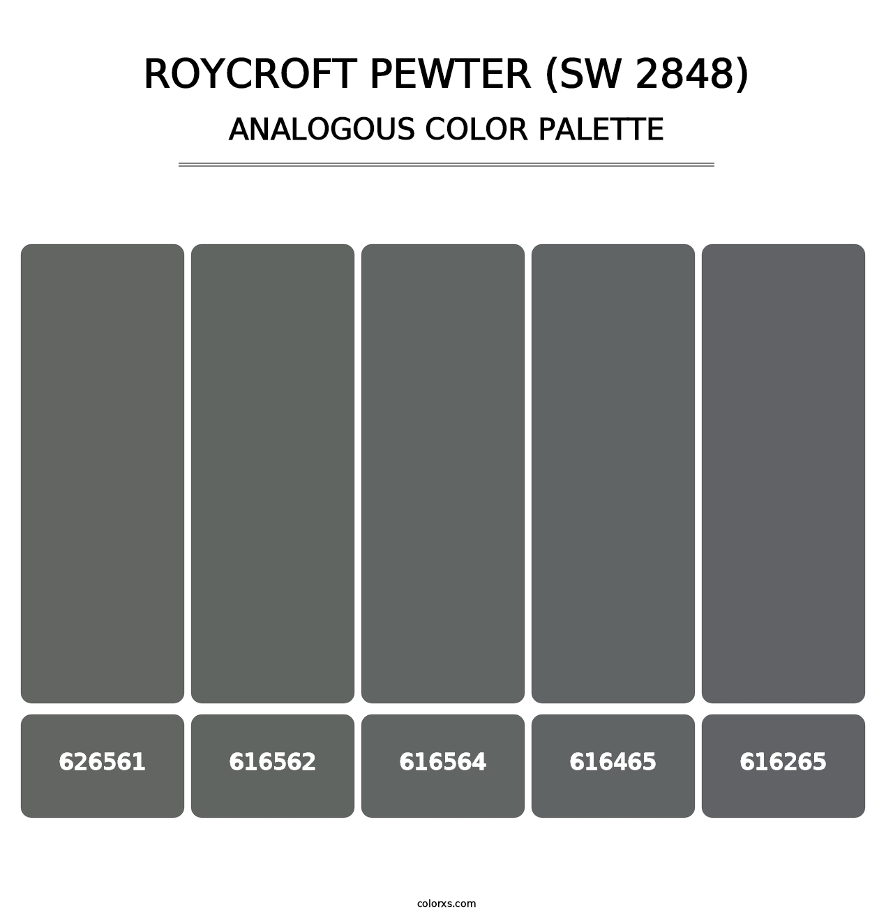 Roycroft Pewter (SW 2848) - Analogous Color Palette