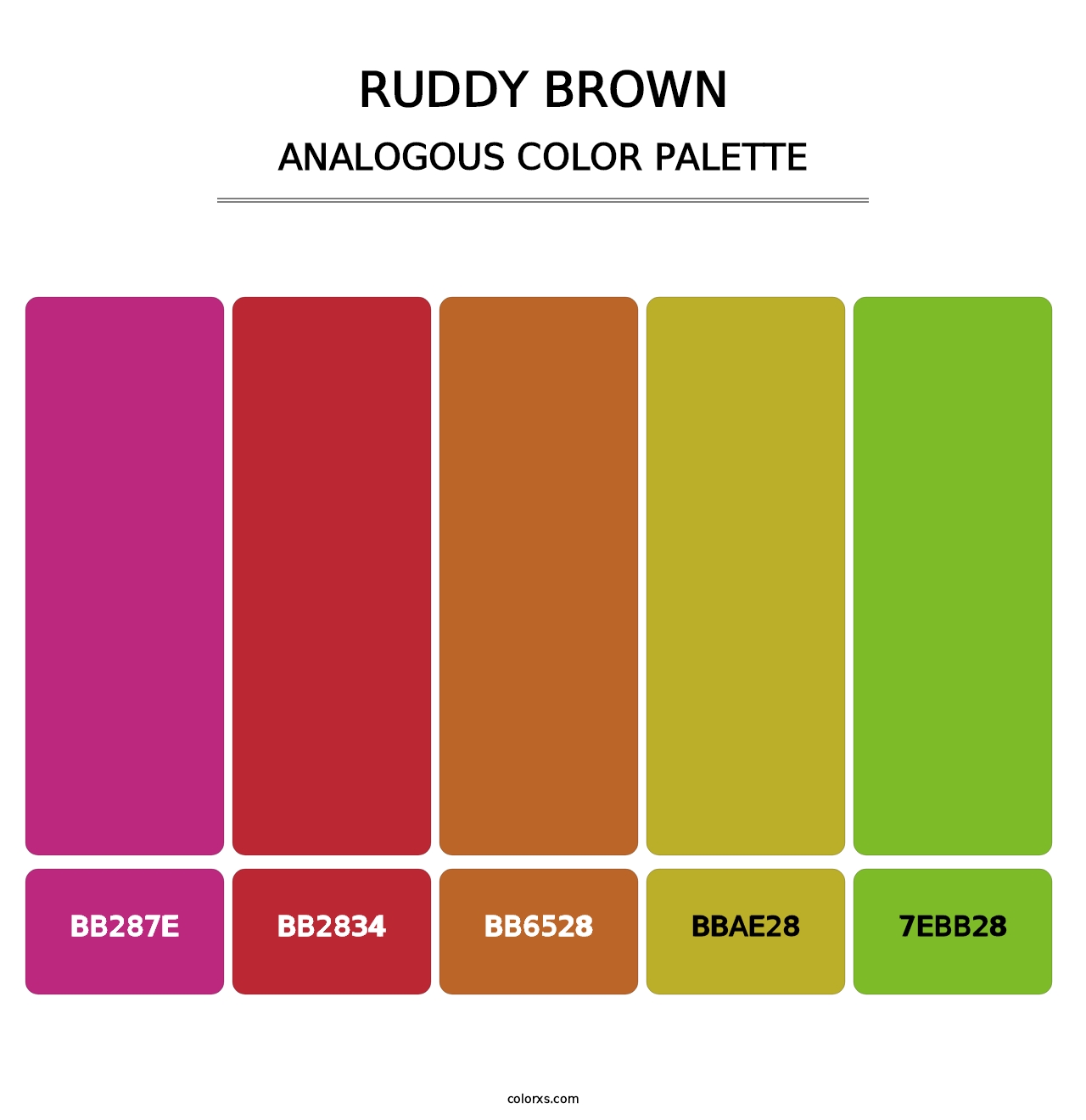 Ruddy Brown - Analogous Color Palette