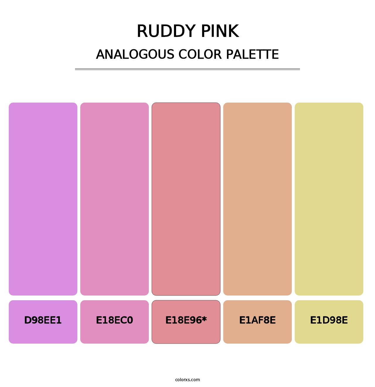 Ruddy Pink - Analogous Color Palette