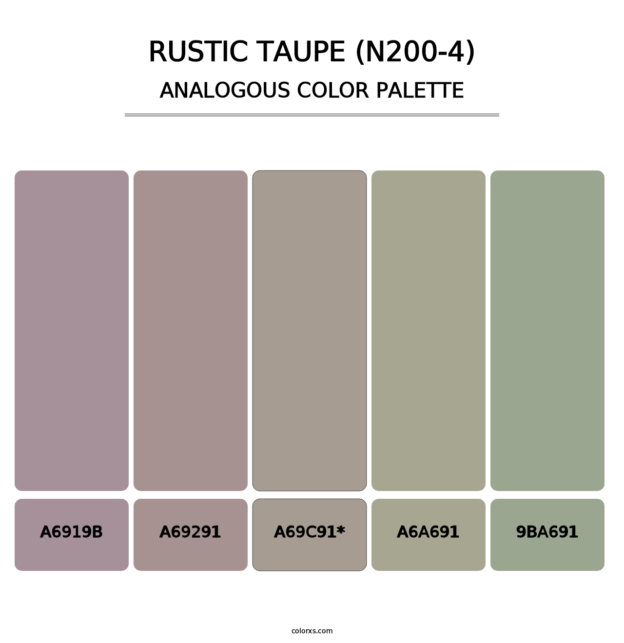 Rustic Taupe (N200-4) - Analogous Color Palette