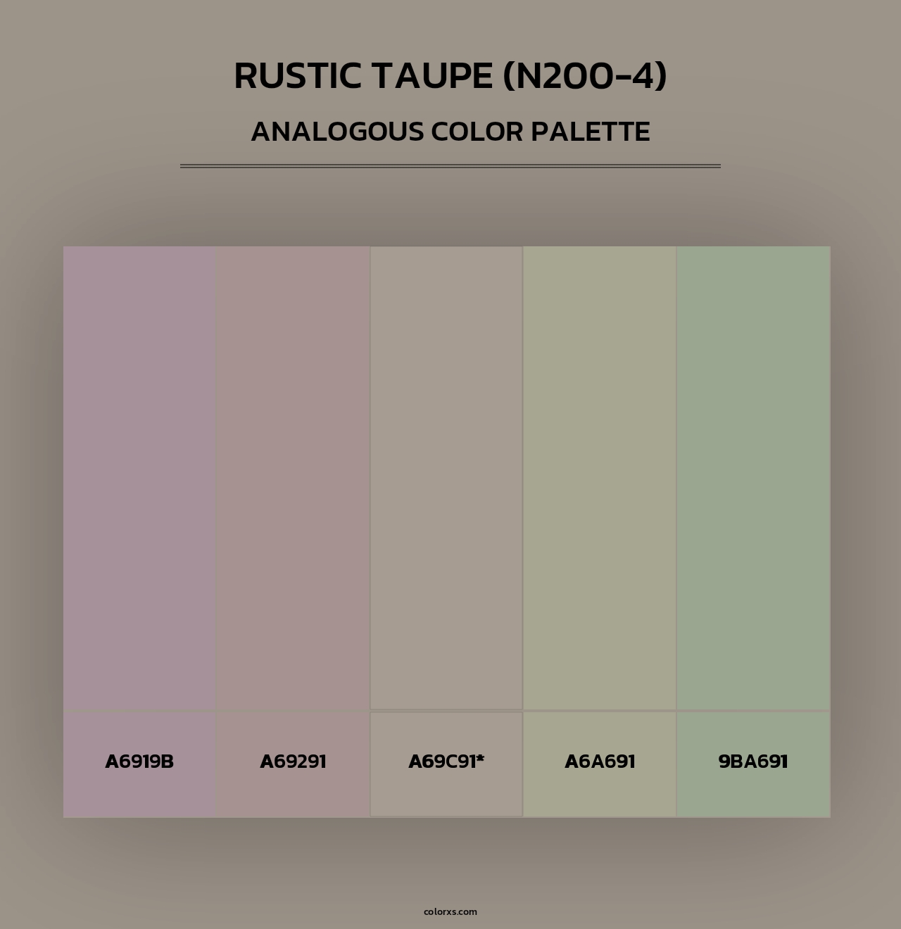 Rustic Taupe (N200-4) - Analogous Color Palette