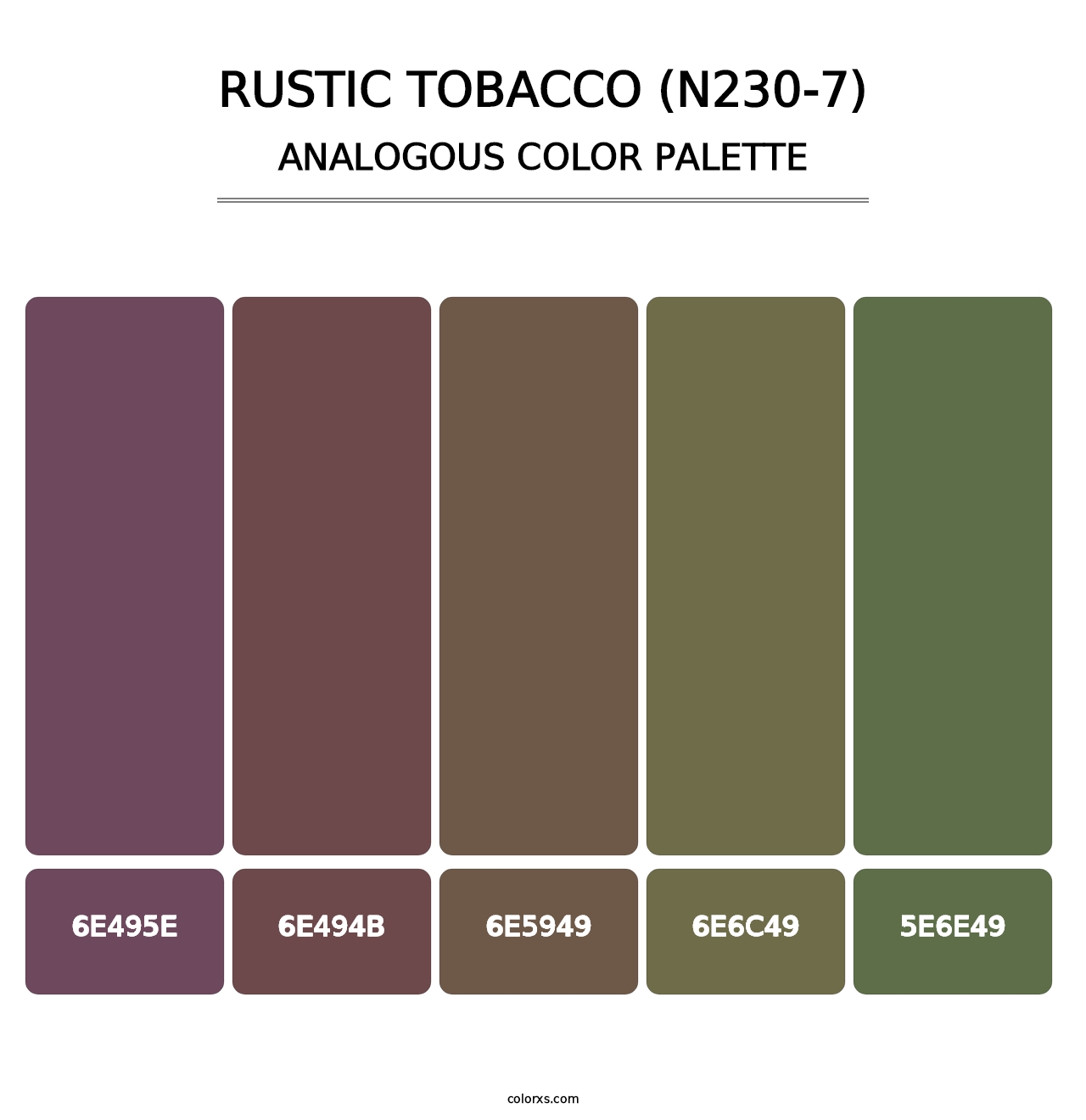 Rustic Tobacco (N230-7) - Analogous Color Palette