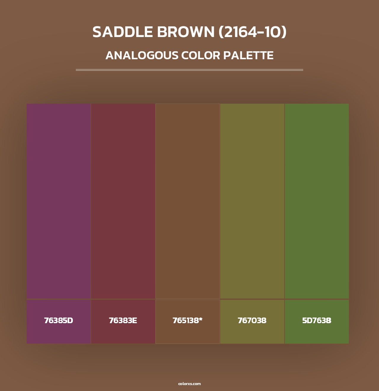 Saddle Brown (2164-10) - Analogous Color Palette