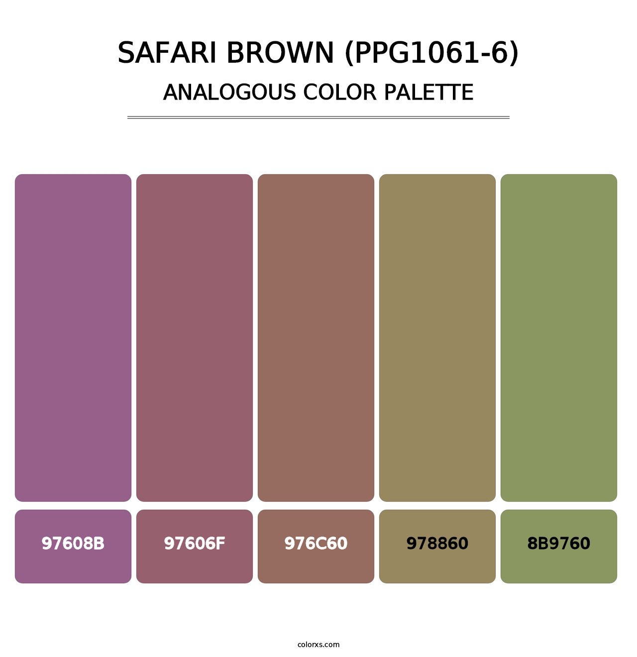 Safari Brown (PPG1061-6) - Analogous Color Palette